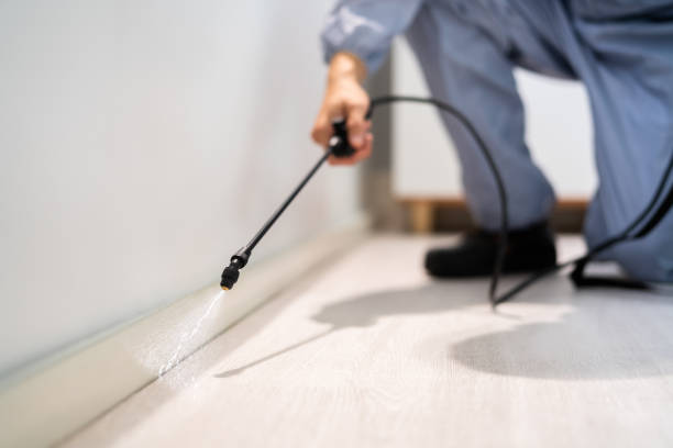 Licensed Pest Control service in Somers, MT - Show Me Pest Control